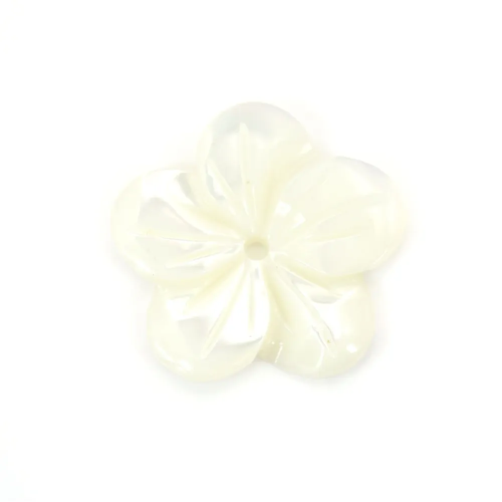 Nacre blanche en forme de fleur à 5 pétales 15mm x 1pc