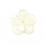 White mother-of-pearl 5 petal flower 15mm x 1pc