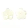 Nacre blanche en forme de fleur à 5 pétales 15mm x 1pc