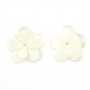 White mother-of-pearl 5 petal flower 15mm x 1pc