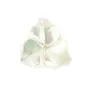 Nacre blanche en forme de fleur à 3 pétales 12mm x 1pc