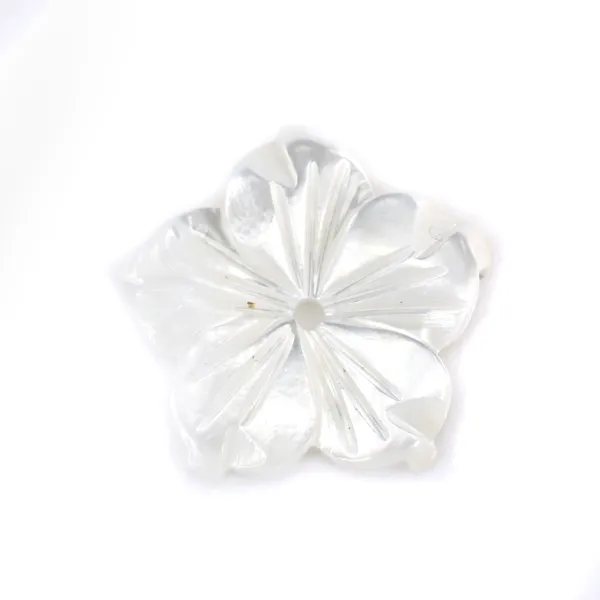 Nacre blanche en fleur de 5 pétales 12mm x 1pc