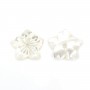 Nacre blanche en fleur de 5 pétales 10mm x 1pc