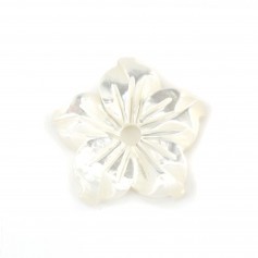 White mother-of-pearl 5 petal flower 10mm x 1pc