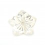White mother-of-pearl 5 petal flower 10mm x 1pc