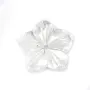 Nacre blanche en fleur de 5 pétales 8mm x 1pc