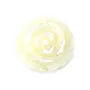 Nacre blanche en rose semi-percée 25mm x 1pc