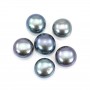 Perle de culture d'eau douce, semi-percée, bleue foncée, bouton, 6-6.5mm  x 1pc