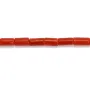 Corail rouge Naturel tube 3x5mm x 50cm