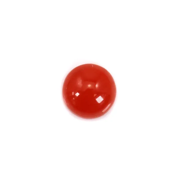 Cabochon Corail rouge Naturel rond 3mm x 1pc