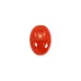 Natural Red Coral Cabochon Oval 4x6mm x 1pc