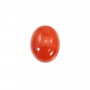 Cabochão de Coral Vermelho Natural Oval 4x6mm x 1pc