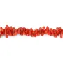 Tubo barroco de coral rojo natural x 50cm