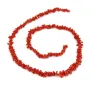 Tubo barocco in corallo rosso naturale x 50 cm