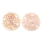 Nacre rose et ronde fleurs et papillons ajourés 18mm x 1pc