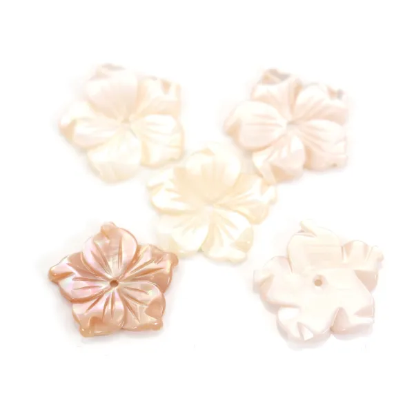 Nacre rose en fleur à 5 pétales 15mm x 1pc