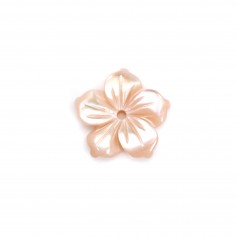 Pink mother-of-pearl 5 petal flower 12mm x 1pc