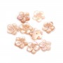 Pink mother-of-pearl 5 petal flower 12mm x 1pc