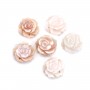 Nacre rose semi-percée en forme de rose 15mm x 1pc