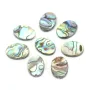 Nacre d'ormeau de forme ovale 13x18mm x 2pcs