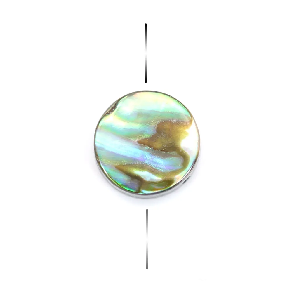 Nacre d'ormeau en rond plat 8mm x 10 pcs