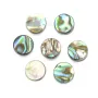 Nacre d'ormeau en rond plat 8mm x 10 pcs