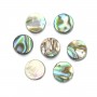 Abalone mother-of-pearl flat round beads 8mm  x 10 pcs