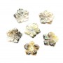 Gray mother-of-pearl 5 petal flower 10mm x 1pc