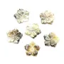 Nacre grise en forme de fleur à 5 pétales 8mm x 1pc