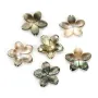Nacre grise en fleur à 5 pétales 12mm x 1pc
