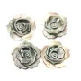 Nacre grise en forme de rose 15mm x 1pc