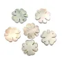 Nacre grise en forme de trèfle à 4 feuilles 13mm x 1pc