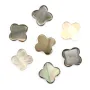 Nacre grise en forme de trèfle 10mm x 4 pcs