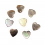 Nacre grise en forme de coeur sur fil 6mm x 40cm
