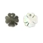 Nacre grise en forme de trèfle à 4 feuilles 10mm x 1pc
