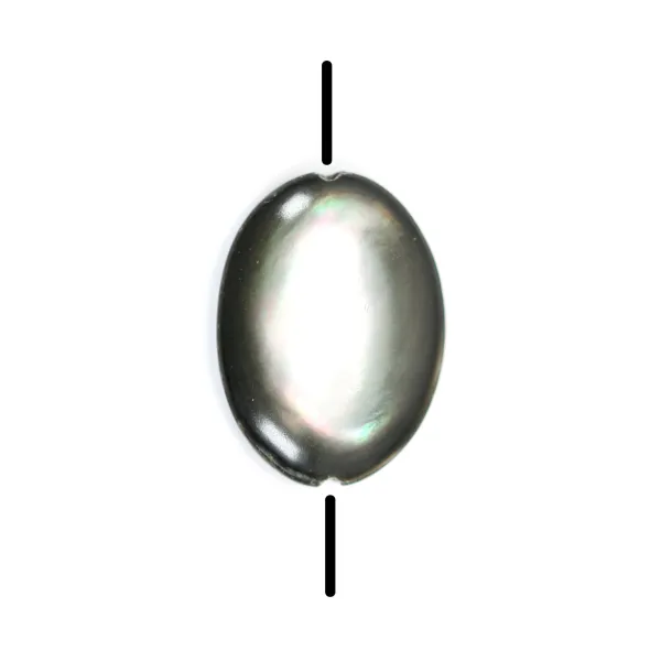 Nacre grise en forme d'oval bombé 12x16mm x 4 pcs