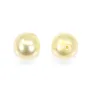 Perle de nacre turquoise semi-percé x 2pcs