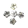 Nacre grise en forme de fleur à 5 pétales 15mm x 1pc