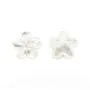 Nacre blanche en fleur à 5 pétales 15mm x 1pc