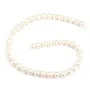 Perles d'eau Douce Blanc rond  10-11mm  AAA x 40cm
