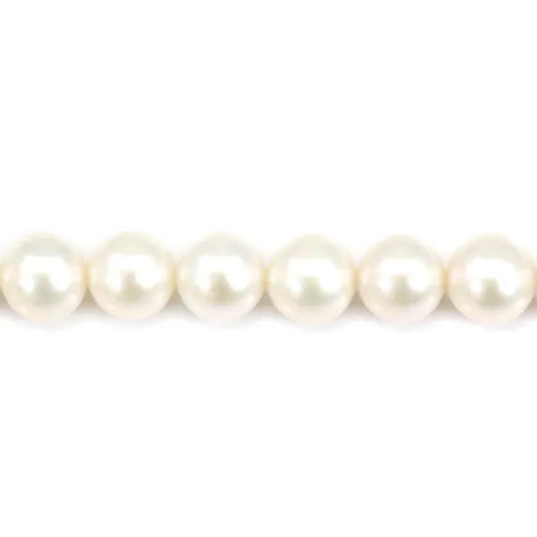 Perles d'eau Douce Blanc rond  10-11mm  AAA x 40cm