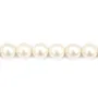 Perles d'eau Douce Blanc rond  10-11mm  AAA x 40cm