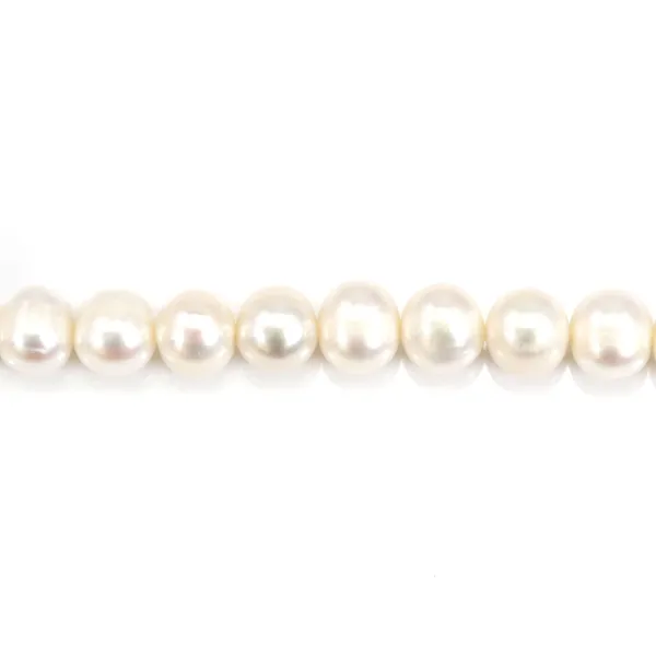 Freshwater cultured pearls, white, half-round, 8.5-9.5mm x 39cm