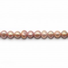 Pinkish flattened oval freshwater pearls on thread 4mm x 40cm