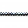Dark blue Freshwater Pearl oval/Round 5.5-6mm x 40cm