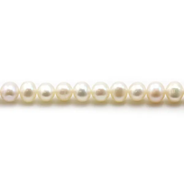 Perles de culture d'eau douce, blanche, semi-ronde, 5-5.5mm x 36cm