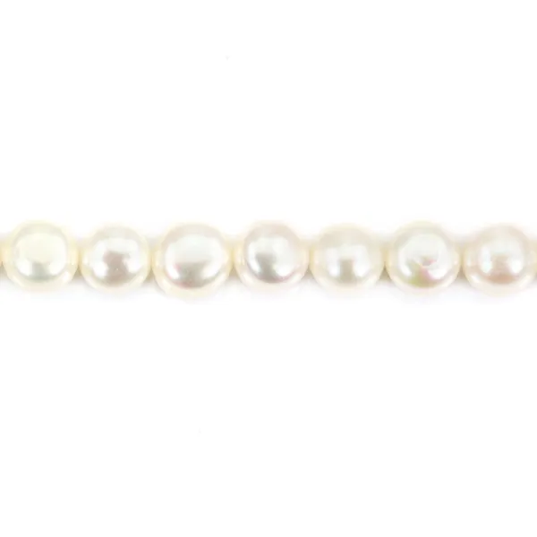 Perle de culture d'eau douce, blanche, bouton 9-10mm x 36cm