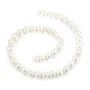 Perle de culture d'eau douce, blanche, ronde, 10-11mm x 40cm