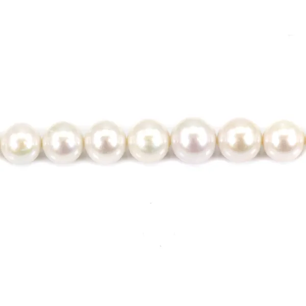 Perle de culture d'eau douce, blanche, ronde 11-13mm, AA x 40cm