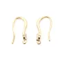 Hook earrings  by "flash" Gold on brass 9x17mm x 2pcs